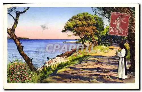 Cartes postales Ile Saint Honorat Meditation sous les Pins seculaires