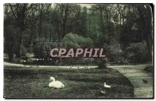 Cartes postales Cognac Jardin de l'Hotel de Ville le Lac