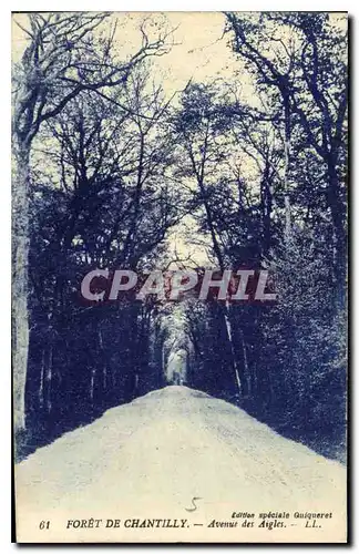 Cartes postales Foret de Chantilly Avenue des Aigles