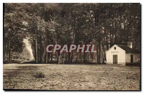 Cartes postales Foret de Compiegne Le Puits du Roi