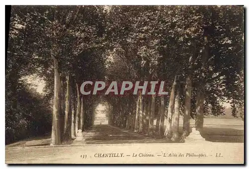 Cartes postales Chantilly le Chateau l'Allee des Philosophes