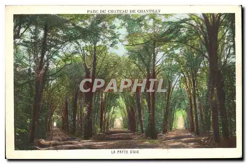 Cartes postales Parc du Chateau de Chantilly la Patte d'Oie