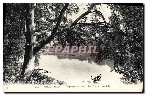 Cartes postales Chantilly Paysage au Bord des Etangs