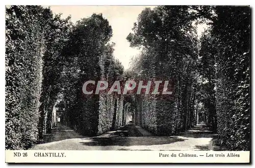 Cartes postales Chantilly Parc du Chateau les Trois Allees