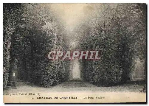 Ansichtskarte AK Chateau de Chantilly le Parc 3 allees