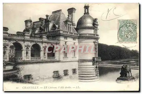 Cartes postales Chantilly le Chateau l'Aile droite Chiens Chien