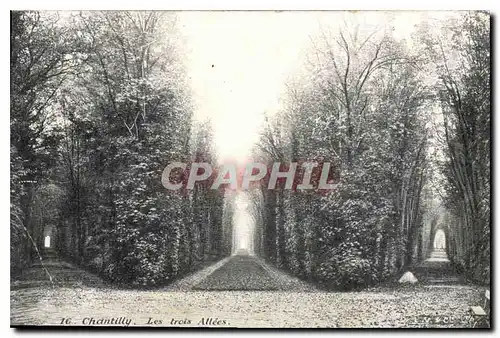 Cartes postales Chantilly Les trois Allees