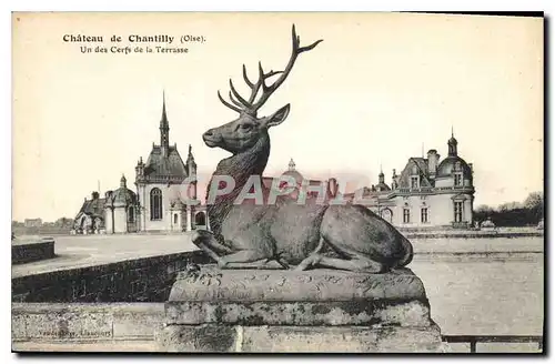 Ansichtskarte AK Chateau de Chantilly Oise Un des Cerfs de la Terrasse