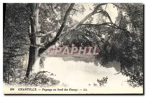 Ansichtskarte AK Chantilly Paysage au bord des Etangs