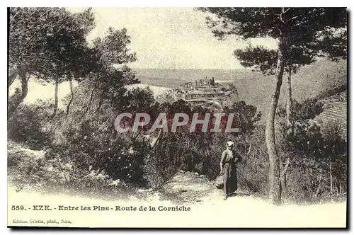 REPRO Eze Entre les Pins Route de la Corniche