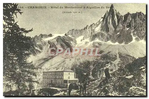 REPRO Chamonix Hotel du Montanvert & Aiguilles du Dru