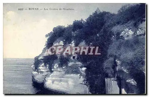 Cartes postales Royan Les Grottes de Meschers