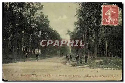 Cartes postales St Germain en Laye L'Avenue des Loges (carte toil�e)