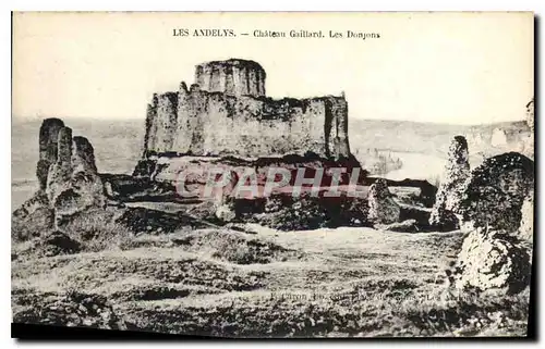 Ansichtskarte AK Les Andelys Chateau Gaillard Les Donjons