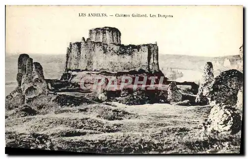 Cartes postales Les Andelys Chateau Gaillard Les Donjons