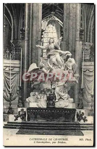 Ansichtskarte AK Cathedrale de Chartres L'Assomption par Briden