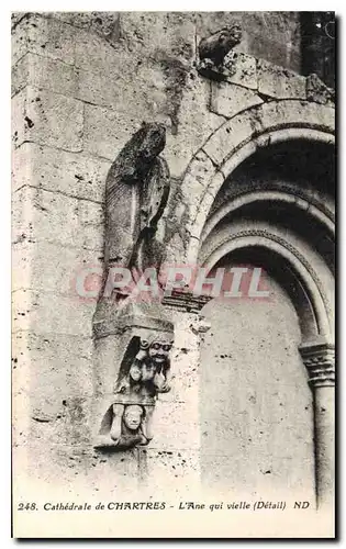 Cartes postales Cathedrale de Chartres L'Ane qui vieille Detail