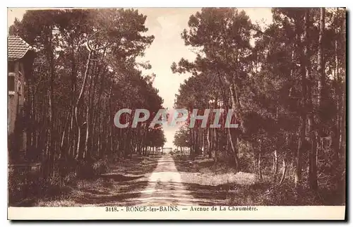 Cartes postales Ronce les Bains Avenue de la Chaumiere