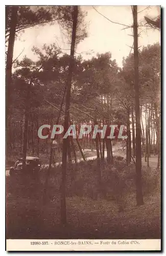 Cartes postales Ronce les Bains Foret du Galon d'Or