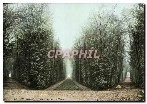 Cartes postales Chantilly Les Trois Allees