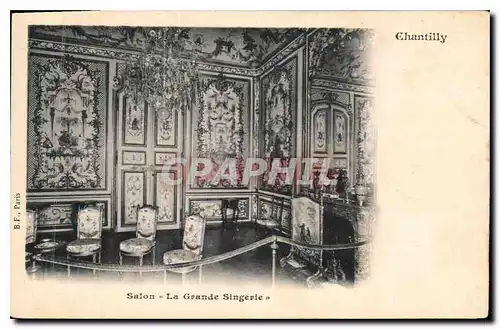 Cartes postales Chantilly Salon La Grande Singerie