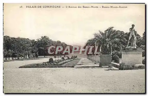 Cartes postales Palais de Compiegne L'Avenue des Beaux Monts