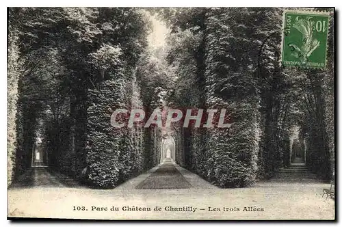 Cartes postales Parc du Chateau de Chantilly Les trois Allees