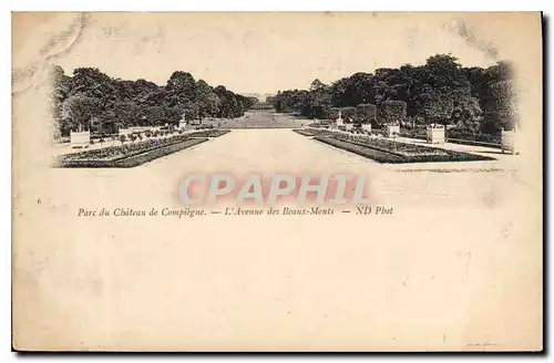 Cartes postales Parc du Chateau de Compiegne L'Avenue des Beaux Morts