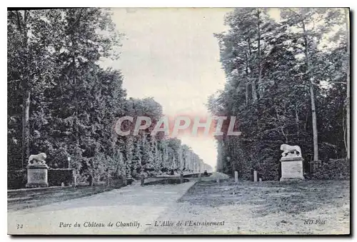 Cartes postales Parc du Chateau de Chantilly l'Allee de l'Entrainement