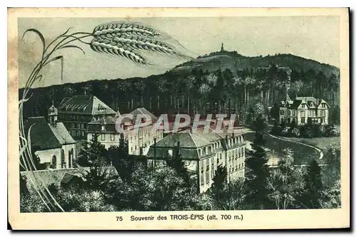 Cartes postales Souvenir des Trois Epis