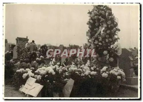 Photo Fleurs Cimetiere