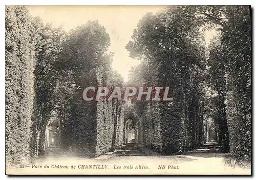 Cartes postales Parc du Chateau de Chantilly Les trois Allees