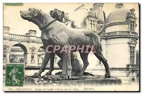 Cartes postales Chantilly Musee Conde Chiens par A Cain