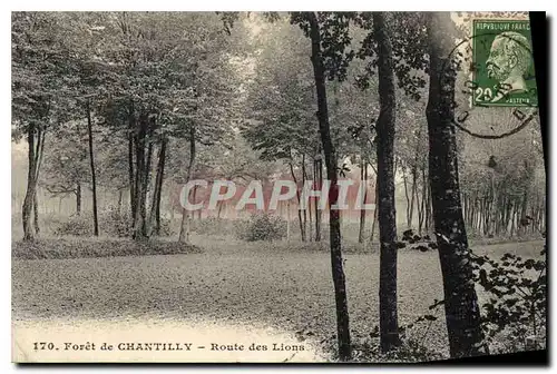 Ansichtskarte AK Foret de Chantilly Route des Lions