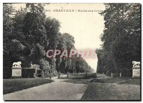 Cartes postales Chantilly Route des Lions