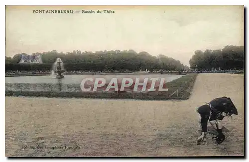 Cartes postales Fontainebleau Bassin du Thibe Enfant