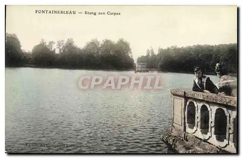 Cartes postales Fontainebleau Etang aux Carpes Enfants