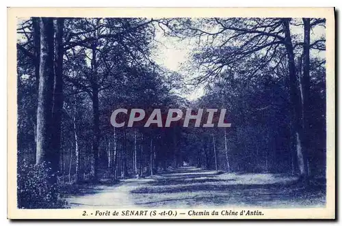 Cartes postales Foret de Senart S et O Chemin du Chene d'Antin
