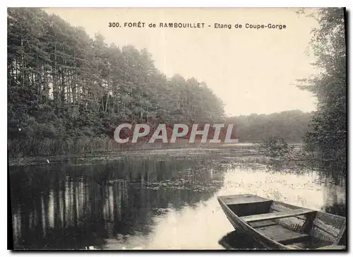 Ansichtskarte AK Foret de Rambouillet Etang de Coupe Gorge