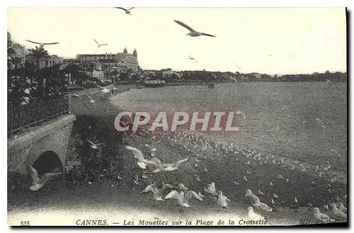 REPRO Cannes Les Mouettes sur la Plage de la Croisette