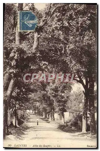 Cartes postales Saintes Allee des Souptrs