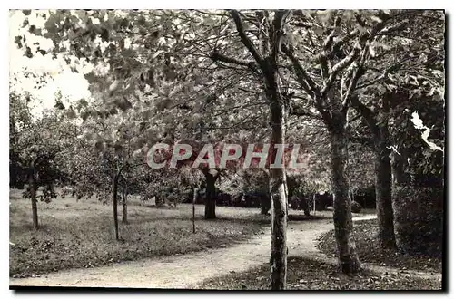 Cartes postales Bethante Saint Palais sur Mer Le Parc