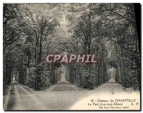 Cartes postales Chateau de Chantilly Le Parc Les Trois Allees