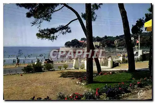 Cartes postales moderne Vaux Nauzan La Plage a Travers les Pins