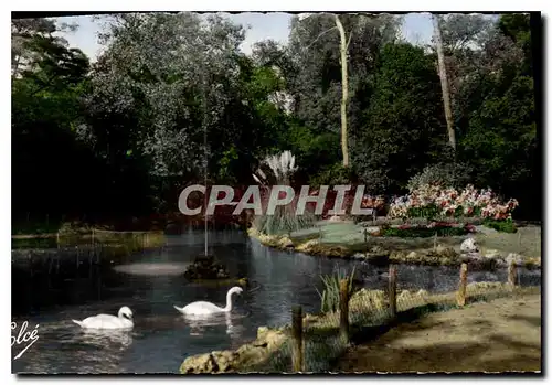 Ansichtskarte AK La Rochelle Ch Mar La Riviere dans les Parcs