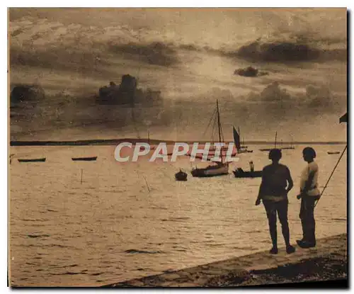 Cartes postales Environs de Marennes Etude a la pointe du Chapus vers I'Ile d'Oleron