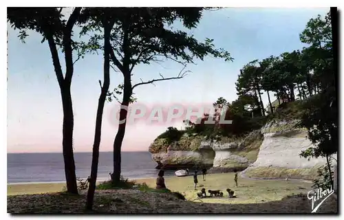 Cartes postales Meschers les Bains Charente Maritime La Plage des Vergnes