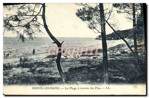 Cartes postales Ronce les Bains La Plage a Travers les Pins