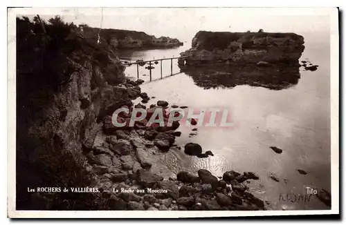 Cartes postales Les Rochers de Vallieres La Roche aux Mouettes