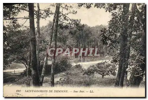 Cartes postales Saint Georges de Didonne Sous Bois